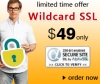 Get cost- effective solution with Wildcard SSL Certificate from SSL2BUY.com